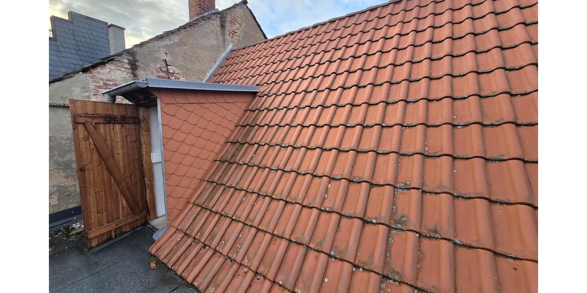Dacheindeckung und Ausgang zur Dachterrasse
