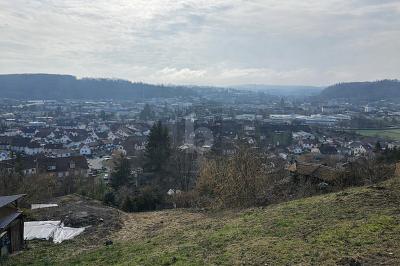 NATUR & AUSSICHT VEREINT - Grundstück Lörrach Brombach | Angebot:26847121