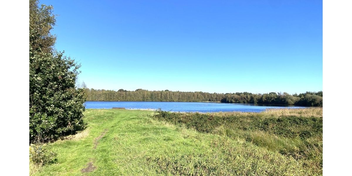 Wiek See