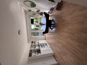 Bild16