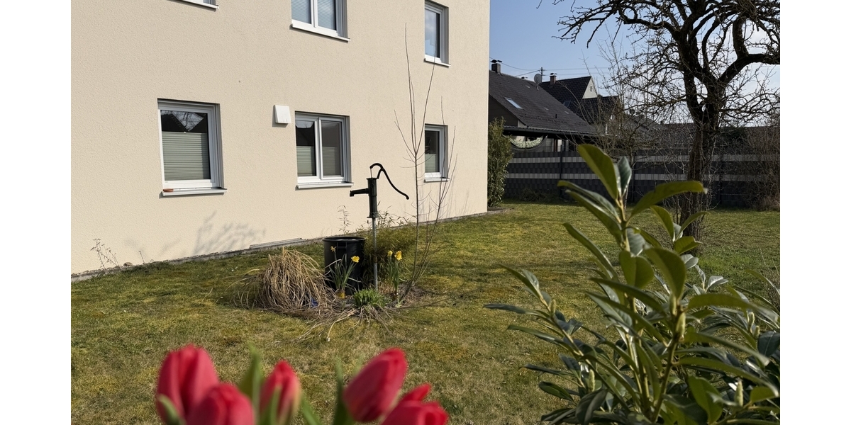Eigener Obstgarten im Frühlingzur Westseite