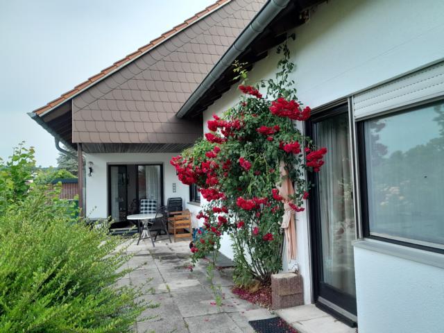 4. Bild