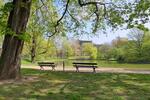 (EF0519_S) Dresden: Wilsdruffer VorstadtSeevorstadt-West, City-Apartment mit Terrasse, nur 100m zum Park am Zwinger - Etagenwohnung Dresden Wilsdruffer Vorstadt/Seevorstadt-West | Angebot:26876735