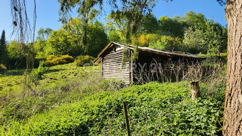Stall / Grundstück