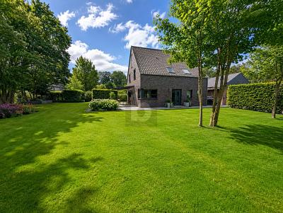 VIEL PLATZ FÜR FAMILIE UND HOBBIES, NÄHE NATURPARK - Einfamilienhaus Steinfurt | Angebot:27098050