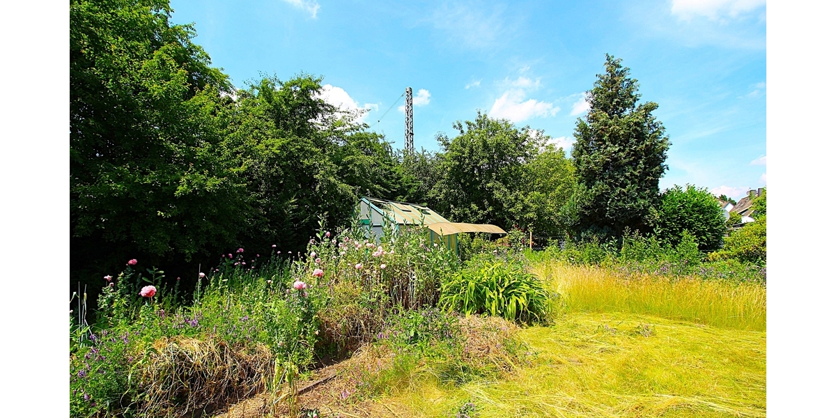 Garten3