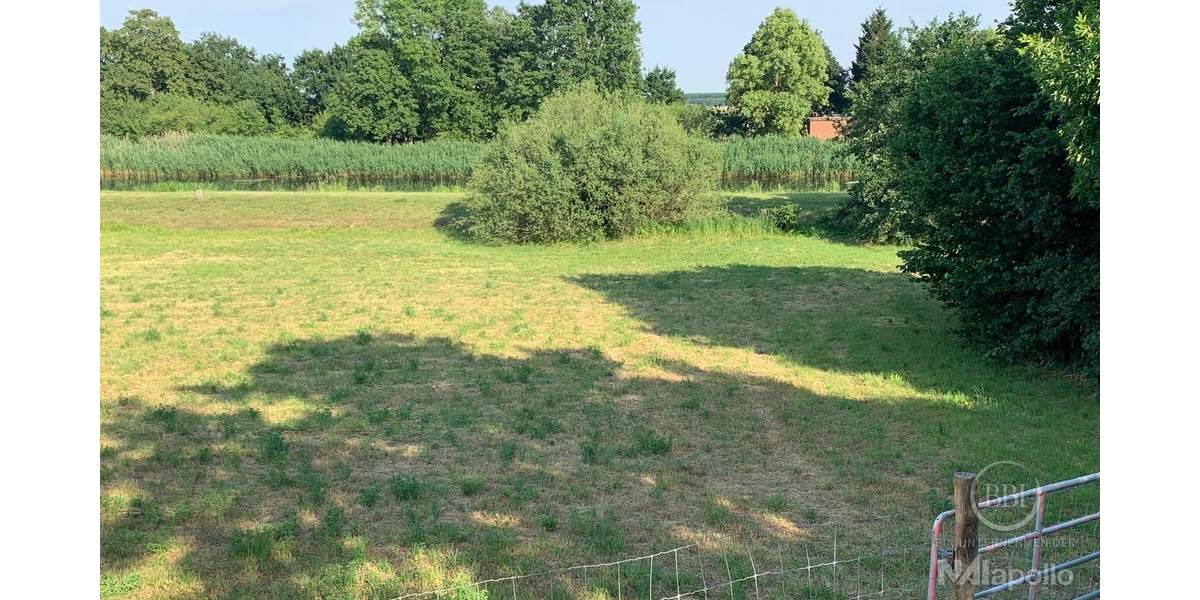 Grundstück (5)