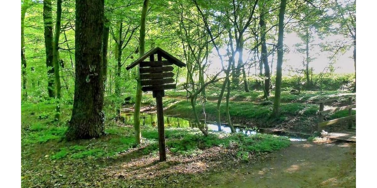 Wanderwege durch Steyerberg