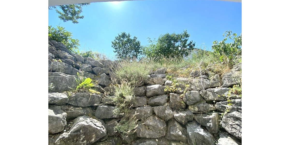 Blick von Einliegerwohnung (2)