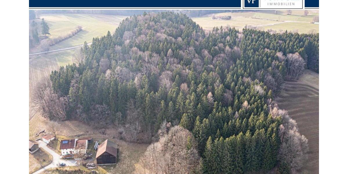 Lebensraum Wald: Fichte, Buche und Lärche in Generationen gewachsen - Grundstück Waldmünchen / Untergrafenried Untergrafenried | Angebot:26531345