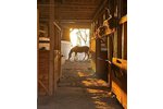 Tann-OT, 3 Seitenhof - Einfamilienhaus Tann (Rhön) Schwarzenborn | Angebot:25869276