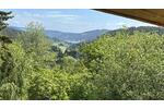 ROHBAU MIT ALPINEM CHARME - Einfamilienhaus Feldberg | Angebot:26890386