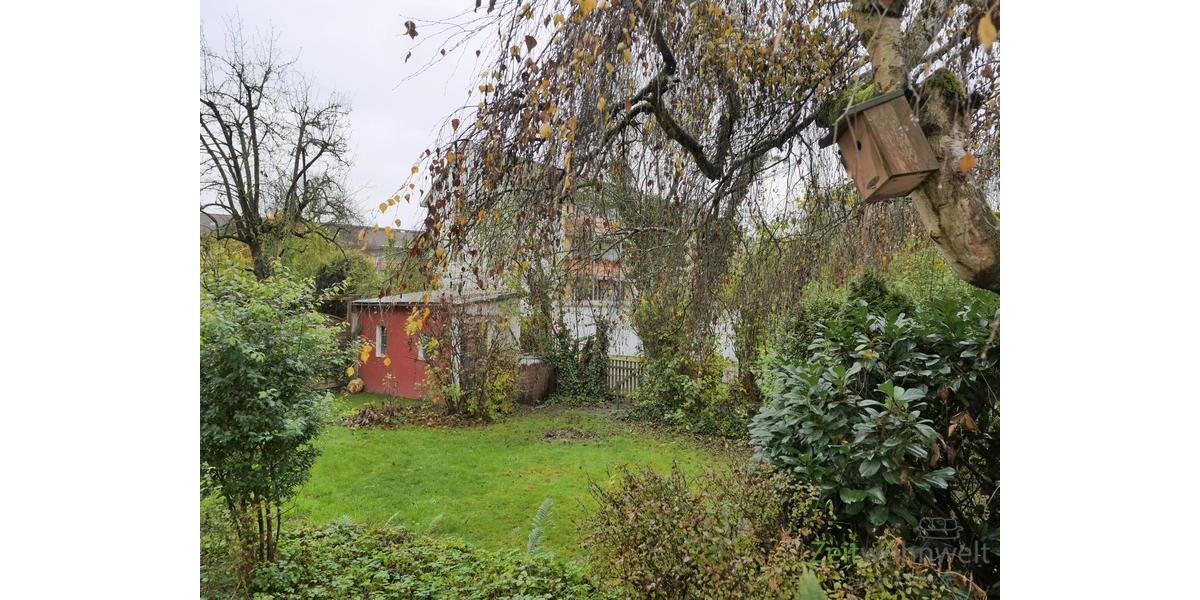 Novemberblick in den kleinen Garten