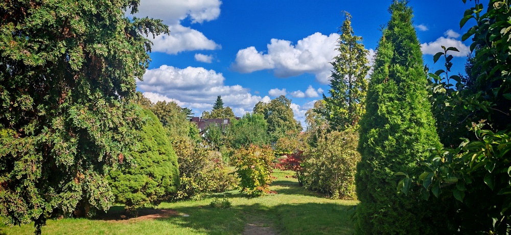 Blick in den Garten