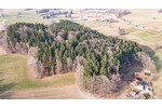 Lebensraum Wald: Fichte, Buche und Lärche in Generationen gewachsen - Grundstück Waldmünchen / Untergrafenried Untergrafenried | Angebot:26531345
