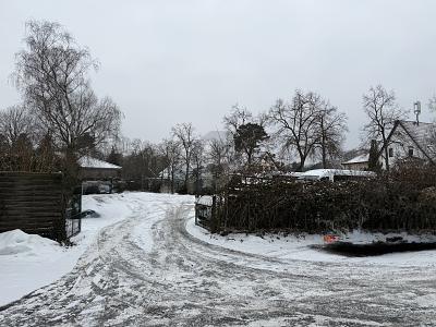GRUNDSTÜCK IN ZENTRALER LAGE - Grundstück Zeuthen | Angebot:27359855