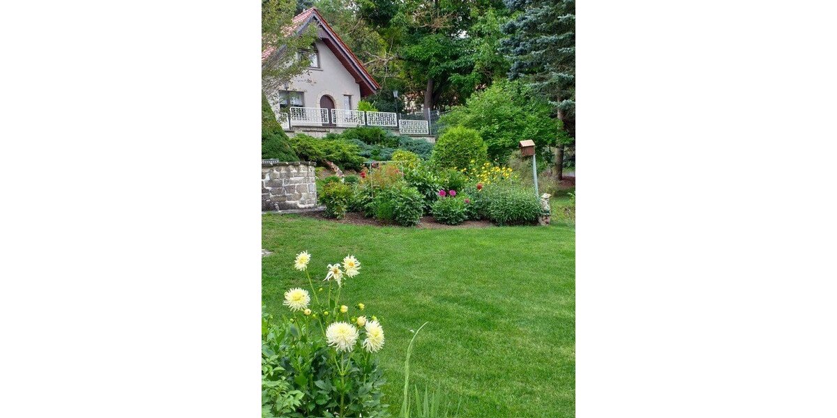 Sondershausen-OT, EFH - Einfamilienhaus Sondershausen Großberndten | Angebot:19934681