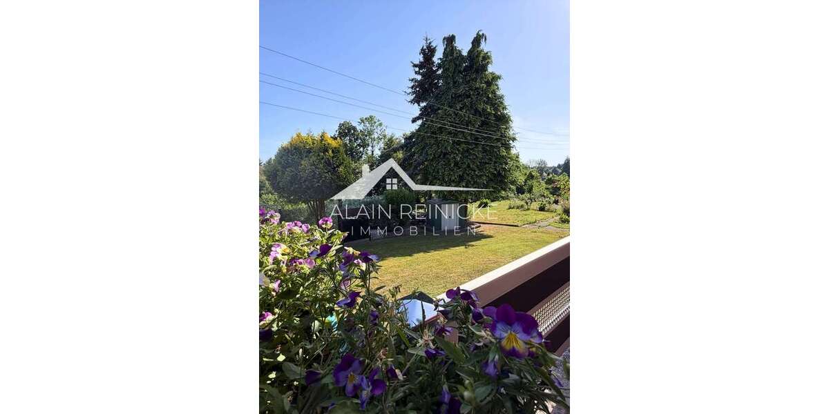 Garten im Sommer