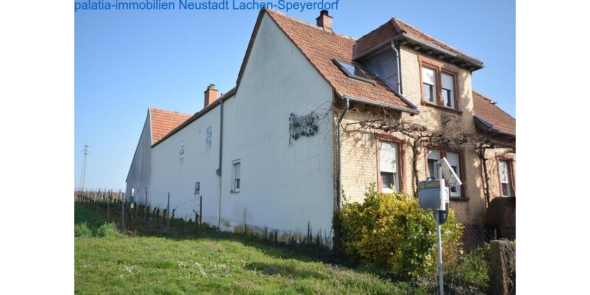 DSC 5373