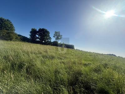 SONNIG, RUHIG & NATURNAH MIT AUSBLICK - Grundstück Riepsdorf | Angebot:27365698