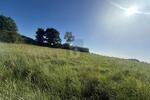 SONNIG, RUHIG & NATURNAH MIT AUSBLICK - Grundstück Riepsdorf | Angebot:27365698