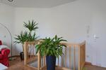 (EF0678_M) Dresden: Blasewitz, Zu heiß im Sommer? Hier nicht! möblierte Wohnung mit Terrasse und kühlem Schlafzimmer - Etagenwohnung Dresden Blasewitz | Angebot:26876749