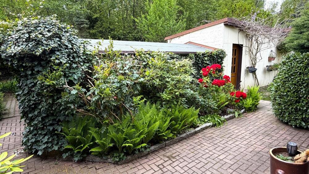 Garten mit Gartenhaus