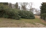 Villa aus der Jugendstilzeit im Vogtland - Gewerbeobjekt Lengenfeld | Angebot:19801462
