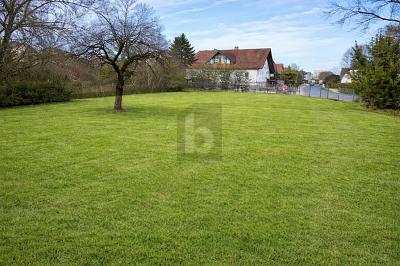 EXKLUSIVER RAUM MIT POTENZIAL - Grundstück Buttenheim | Angebot:27152274