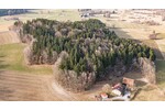 Lebensraum Wald: Fichte, Buche und Lärche in Generationen gewachsen - Grundstück Waldmünchen / Untergrafenried Untergrafenried | Angebot:26531345