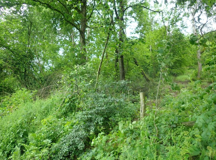 Ansicht 6