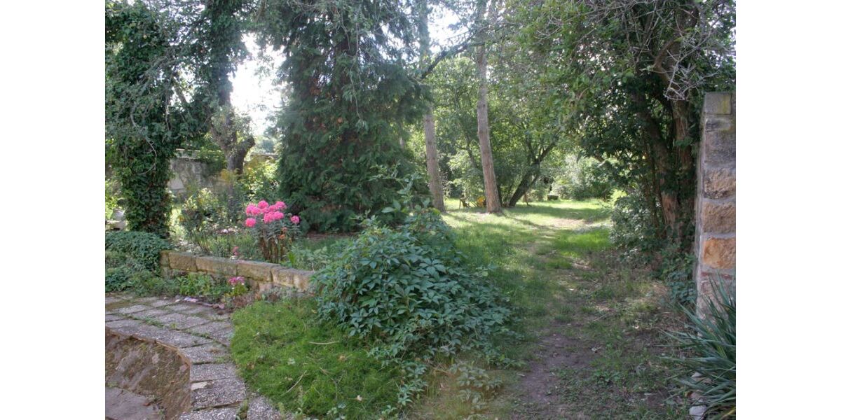 Garten-Anfang