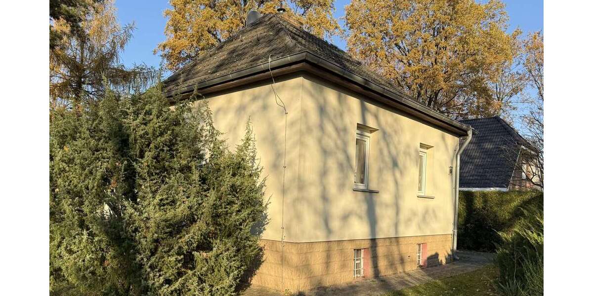 aus dem Garten