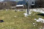 Baugrundstück in Obergurig - Grundstück Obergurig | Angebot:10192045
