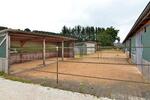 PFERDERANCH, REITANLAGE, TRAUMHAUS, SPITZENPREIS - Einfamilienhaus Meckenbach | Angebot:27145272