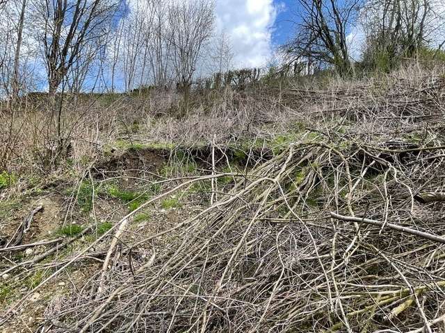 Grundstück