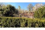 Einfamilienhaus mit Pool in ruhiger grüner Lage - Einfamilienhaus Erlau | Angebot:26770678