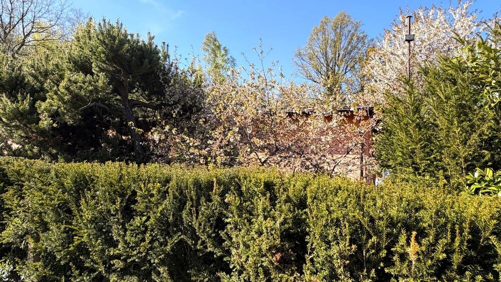 Gartenblick Richtung Einfamilienhaus