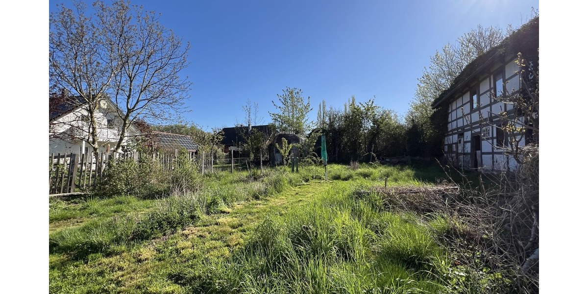 Garten Rückseite des Hauses