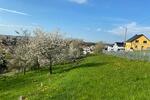 TRAUMGRUNDSTÜCK MIT UNVERBAUBAREM BLICK - Grundstück Ilmenau | Angebot:27439887