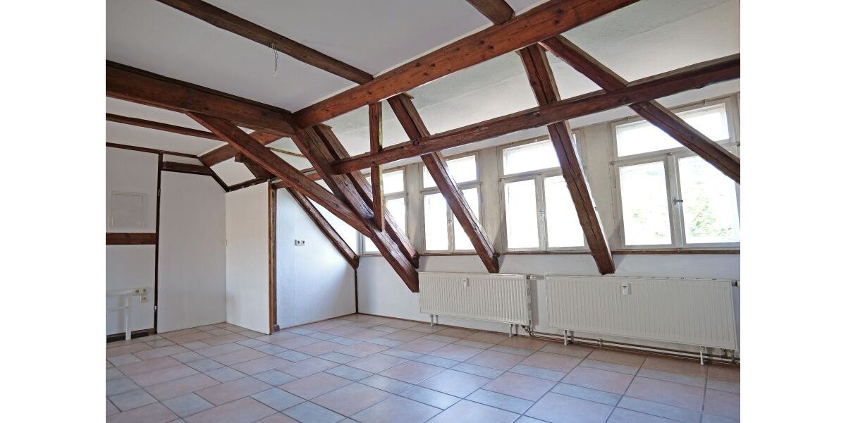 Großer Mehrzweckraum-Gaube