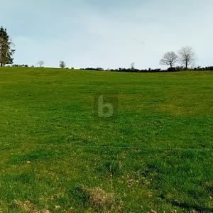 BAUEN IN RUHIGER ORTSRANDLAGE MIT WEITBLICK - Grundstück Burbach | Angebot:27082341