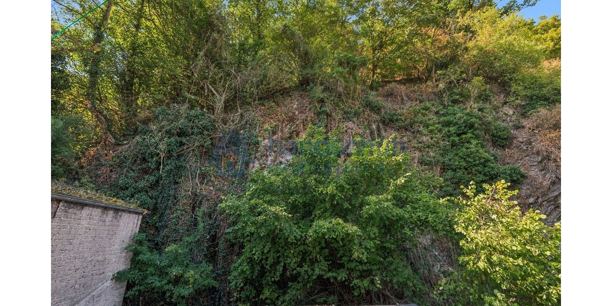 Berg mit Wald hinter dem Haus