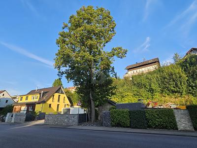 VIELSEITIGER RAUM FÜR LEBEN UND ARBEIT IN TOP-LAGE - Grundstück Steinheim an der Murr | Angebot:27067931