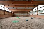 PFERDERANCH, REITANLAGE, TRAUMHAUS, SPITZENPREIS - Einfamilienhaus Meckenbach | Angebot:27145272
