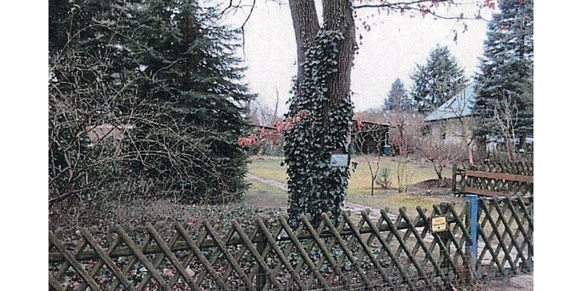 vor dem Zaun