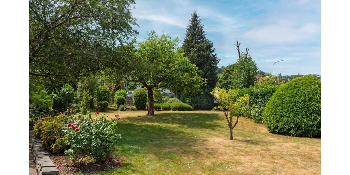 Garten 1