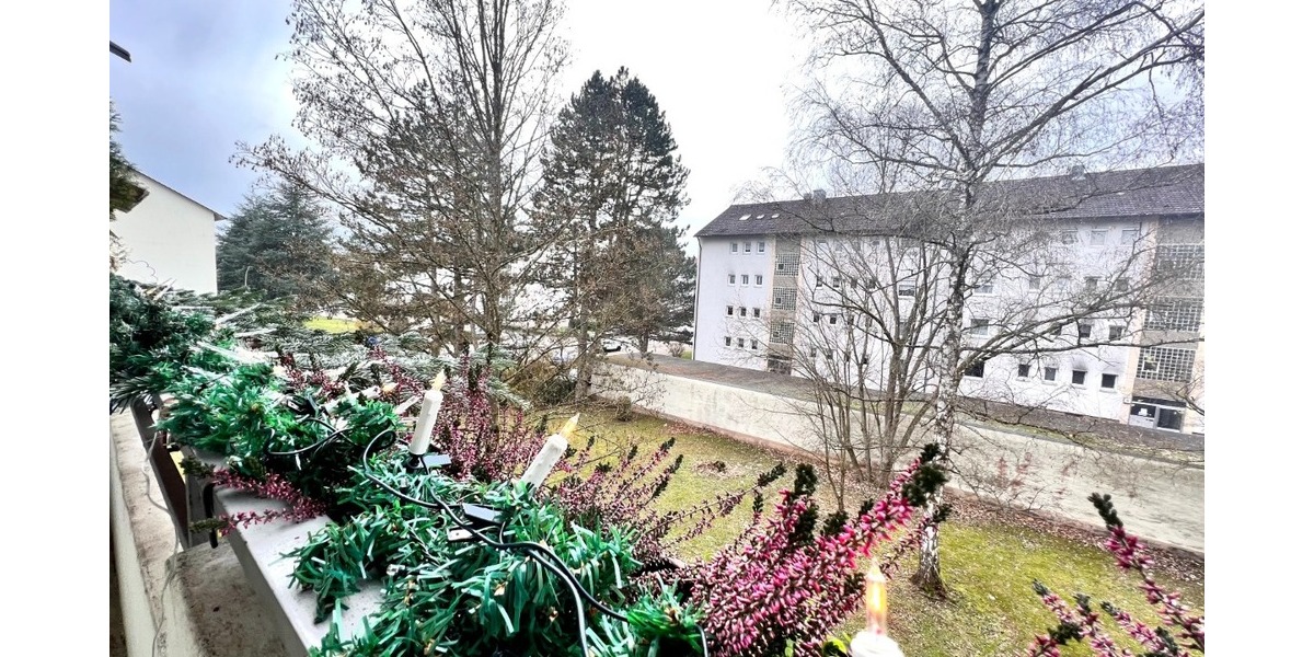 Bild...