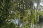 Philippsthal, 2 Familienhaus -RESERVIERT- - Zweifamilienhaus Philippsthal (Werra) | Angebot:24794605