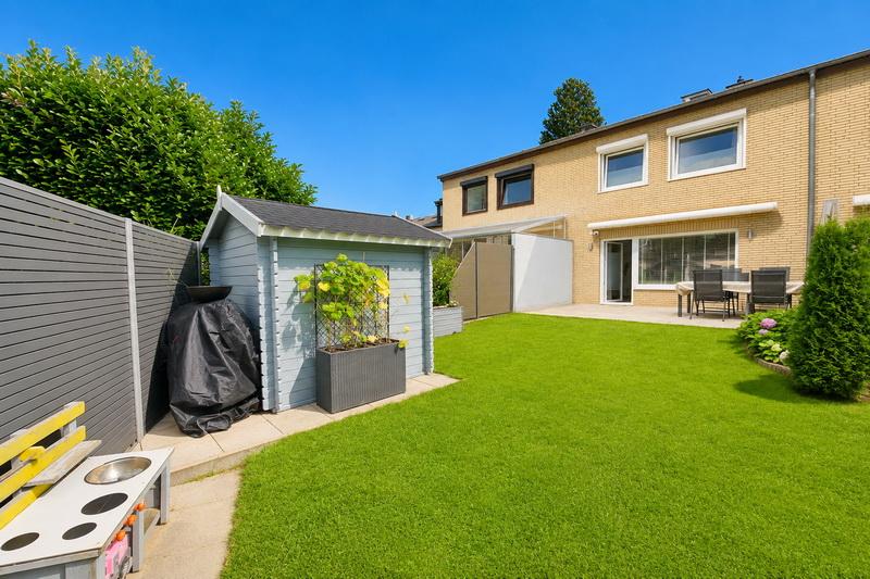 Blick auf den sommerlichen Garten